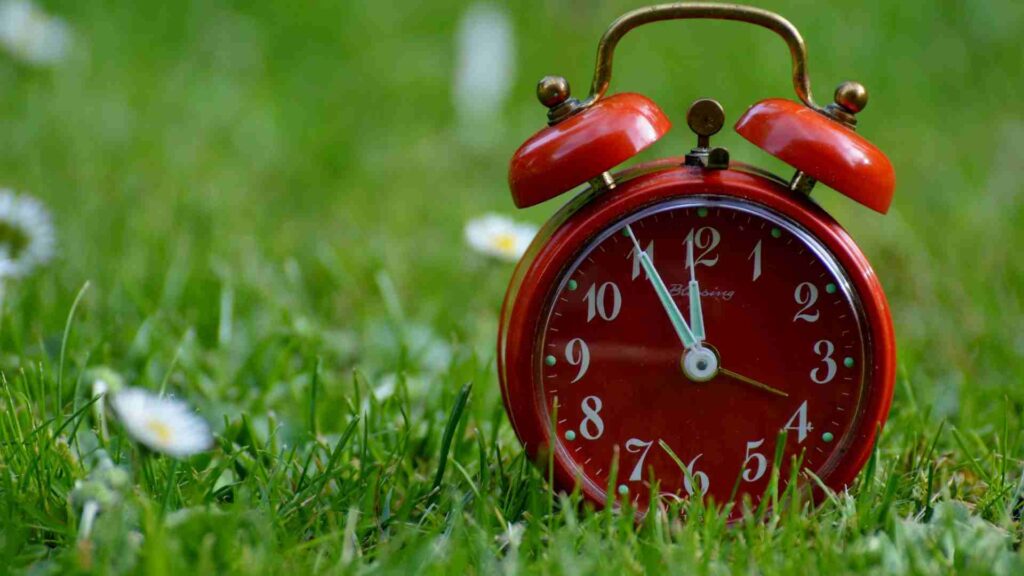 Clock in a field of daisies representing clocks going forward